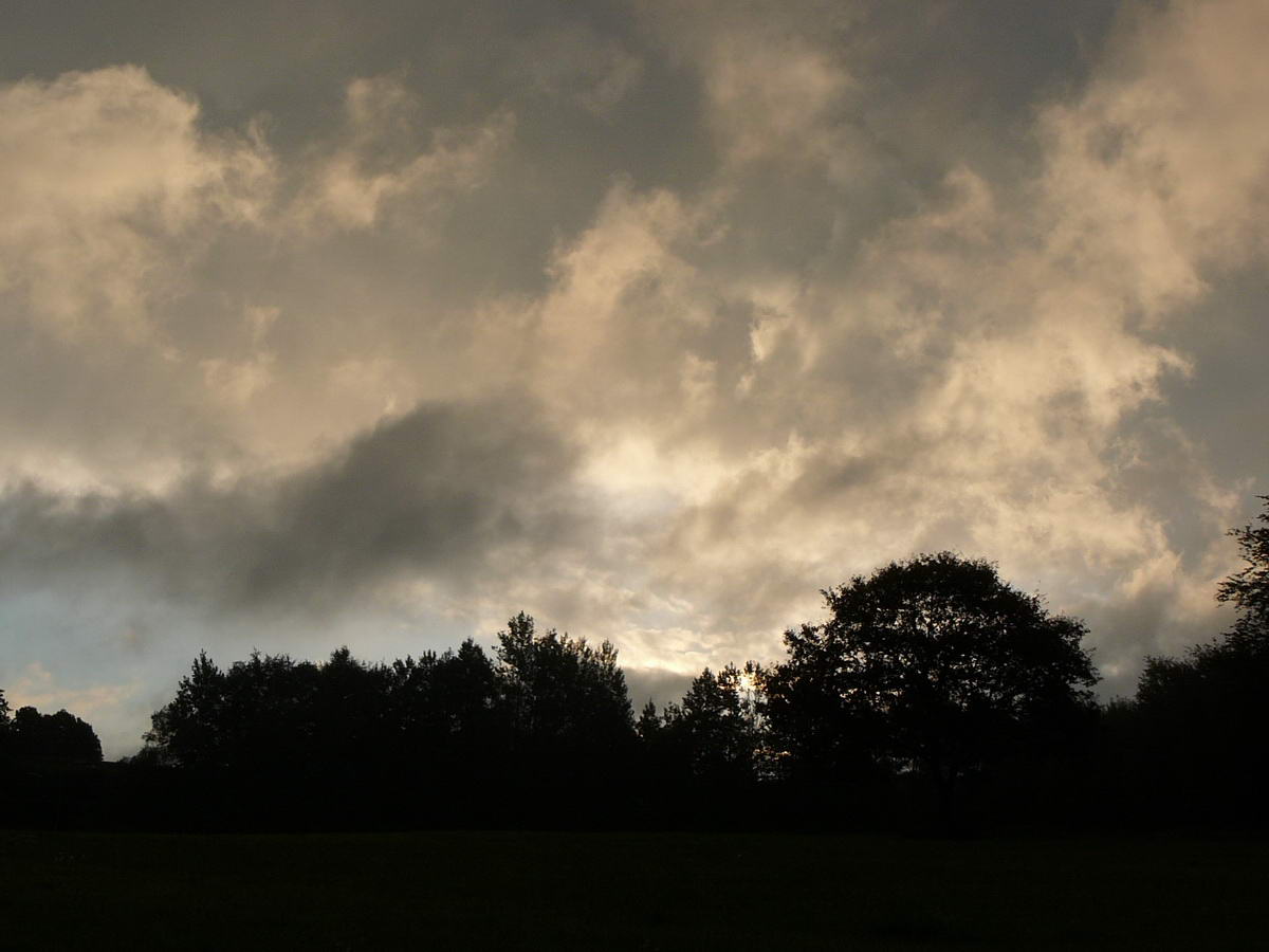 2014-08-16 PTR 15.jpg